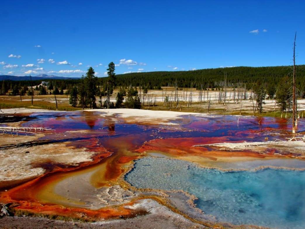 http://www.ogdenmade.com/cdn/shop/articles/Yellowstone_98ba50d8-1e2c-46f3-a12c-917feda460e3.jpg?v=1603390344