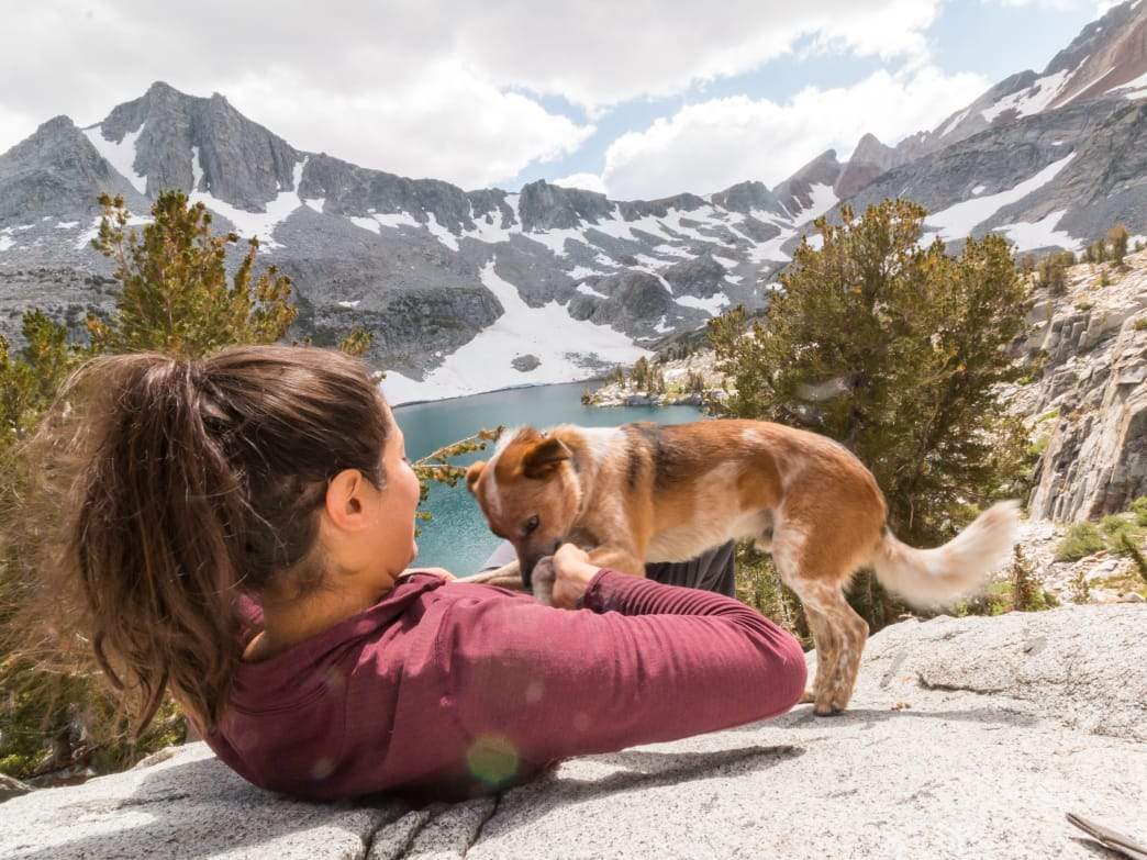 Shop Dog Gear - Alpine Howl