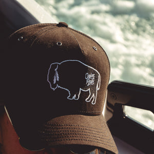 Buffalo Hat